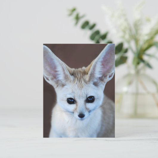 Worlds Cutest Fennec Fox Briefkaart (Staand voorkant)