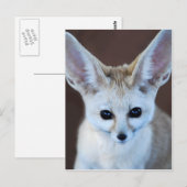 Worlds Cutest Fennec Fox Briefkaart (Voorkant / Achterkant)