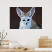Worlds Cutest Fennec Fox Poster (Keuken)