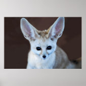 Worlds Cutest Fennec Fox Poster (Voorkant)