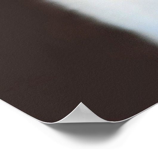 Worlds Cutest Fennec Fox Poster (Hoek)