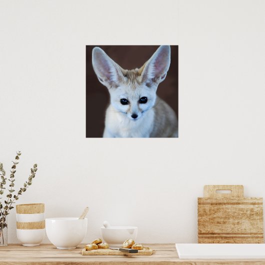 Worlds Cutest Fennec Fox Poster (Keuken)