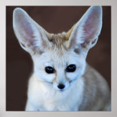 Worlds Cutest Fennec Fox Poster (Voorkant)