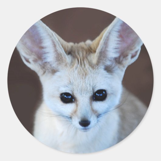 Worlds Cutest Fennec Fox Ronde Sticker (Voorkant)