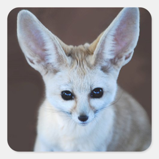 Worlds Cutest Fennec Fox Vierkante Sticker (Voorkant)
