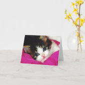 Worlds Cutest Kitten Kaart (Gele Bloem)