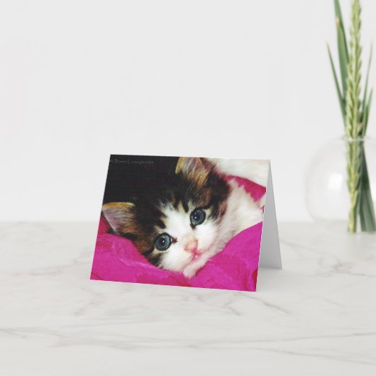 Worlds Cutest Kitten Kaart (Voorkant)