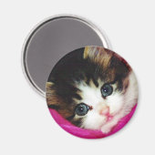 Worlds Cutest Kitten Magneet (Voorkant / Achterkant)