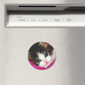 Worlds Cutest Kitten Magneet (Insitu (Vaatwasser))