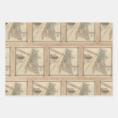  World's Fair Chicago Souvenir Map, 1893 Inpakpapier Vel (Voorkant 3)