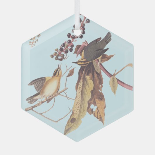 Worm-Eating Warbler Audubon-zongvogel Glas Ornament (Voorkant)