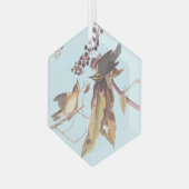 Worm-Eating Warbler Audubon-zongvogel Glas Ornament (Voorkant links)