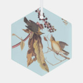 Worm-Eating Warbler Audubon-zongvogel Glas Ornament (Achterkant)