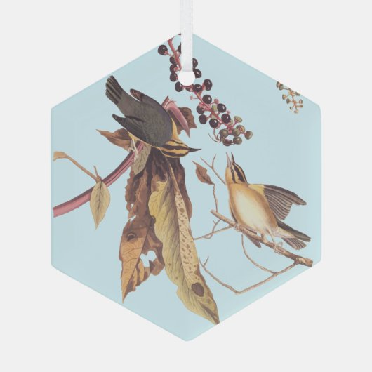 Worm-Eating Warbler Audubon-zongvogel Glas Ornament (Achterkant)