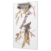 Worm-Eating Warbler Audubon-zongvogel Klembord (Links)