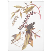 Worm-Eating Warbler Audubon-zongvogel Klembord (Achterkant)