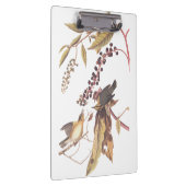 Worm-Eating Warbler Audubon-zongvogel Klembord (Rechts)