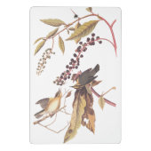 Worm-Eating Warbler Audubon-zongvogel Mini Klembord (Achterkant)