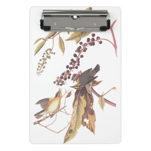 Worm-Eating Warbler Audubon-zongvogel Mini Klembord