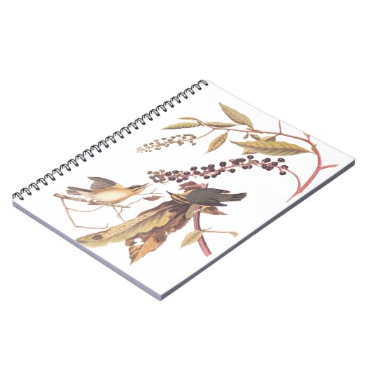 Worm-Eating Warbler Audubon-zongvogel Notitieboek (Linkerzijde)