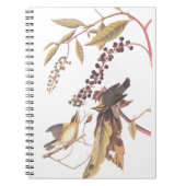 Worm-Eating Warbler Audubon-zongvogel Notitieboek (Voorkant)