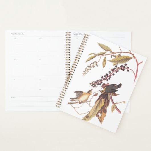 Worm-Eating Warbler Audubon-zongvogel Planner (Display)