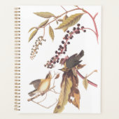 Worm-Eating Warbler Audubon-zongvogel Planner (Voorkant)
