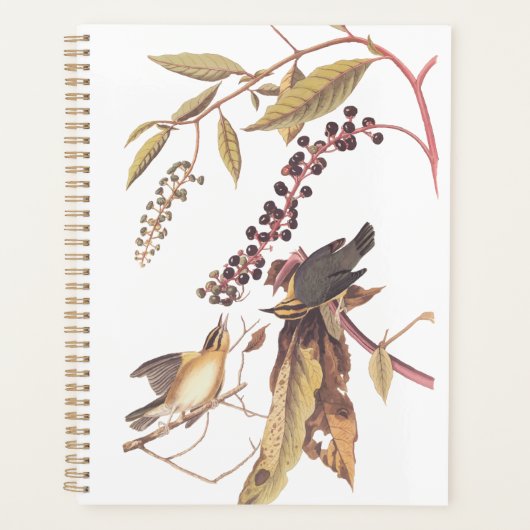 Worm-Eating Warbler Audubon-zongvogel Planner (Voorkant)