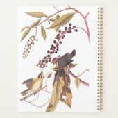 Worm-Eating Warbler Audubon-zongvogel Planner (Achterkant)
