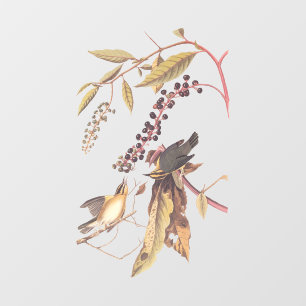 Worm-Eating Warbler Audubon-zongvogel Raamsticker