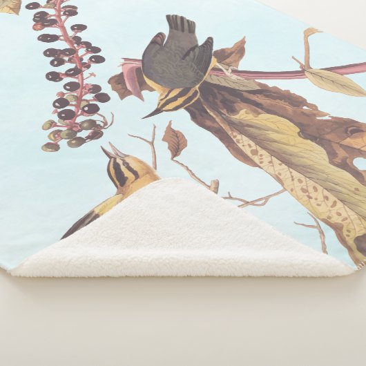 Worm-Eating Warbler Audubon-zongvogel Sherpa Deken (3/4)