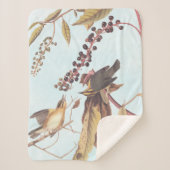 Worm-Eating Warbler Audubon-zongvogel Sherpa Deken (Voorkant)