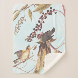 Worm-Eating Warbler Audubon-zongvogel Sherpa Deken