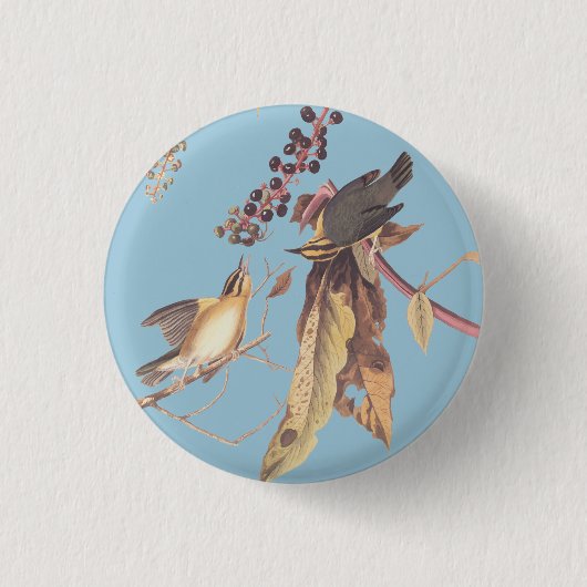 Worm-Eating Warbler Bird Ronde Button (Voorkant)