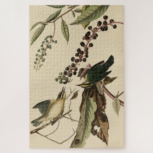 Worm-etende Warbler - Amerikaanse vogels van Audub Legpuzzel (Verticaal)