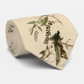 Worm-etende Warbler - Amerikaanse vogels van Audub Stropdas (Opgerold)