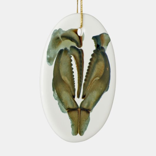 Worm Jaw Oval kerstversiering Keramisch Ornament (Rechts)