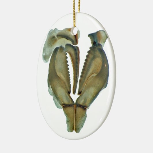 Worm Jaw Oval kerstversiering Keramisch Ornament (Links)