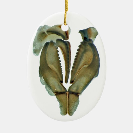 Worm Jaw Oval kerstversiering Keramisch Ornament (Voorkant)