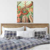 Wormen, Annelids Chaetopoda door Ernst Haeckel Canvas Afdruk (Insitu (Slaapkamer))