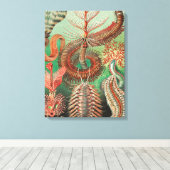 Wormen, Annelids Chaetopoda door Ernst Haeckel Canvas Afdruk (Insitu (Houten vloer))