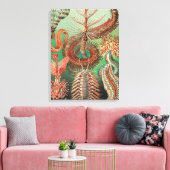 Wormen, Annelids Chaetopoda door Ernst Haeckel Canvas Afdruk (Insitu (Woonkamer))