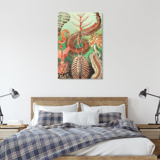 Wormen, Annelids Chaetopoda, door Ernst Haeckel Canvas Afdruk (Insitu (Slaapkamer))