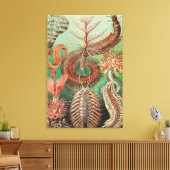Wormen, Annelids Chaetopoda, door Ernst Haeckel Canvas Afdruk (Insitu (Woonkamer))
