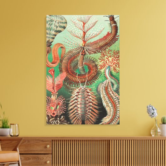 Wormen, Annelids Chaetopoda, door Ernst Haeckel Canvas Afdruk (Insitu (Woonkamer))
