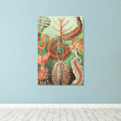 Wormen, Annelids Chaetopoda, door Ernst Haeckel Canvas Afdruk (Insitu (Houten vloer))