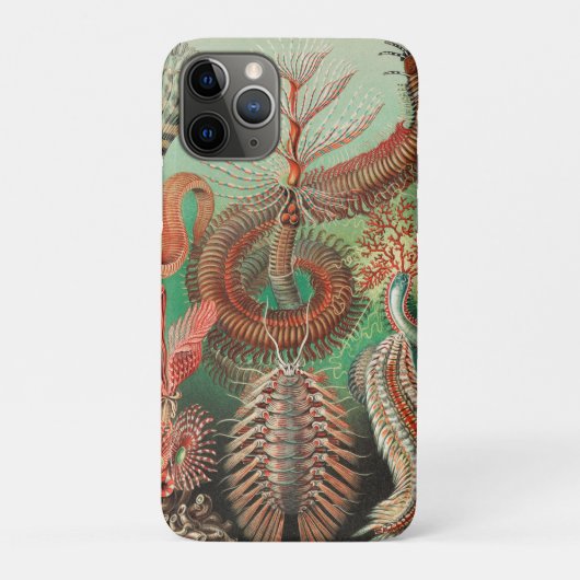 Wormen, Annelids Chaetopoda door Ernst Haeckel Case-Mate iPhone Case (Achterkant)