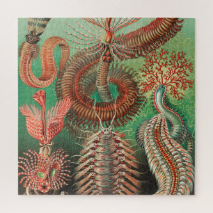 Wormen, Annelids Chaetopoda, door Ernst Haeckel Legpuzzel