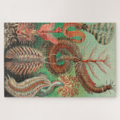 Wormen, Annelids Chaetopoda, door Ernst Haeckel Legpuzzel (Horizontaal)