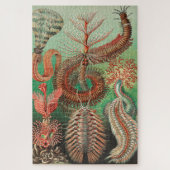 Wormen, Annelids Chaetopoda, door Ernst Haeckel Legpuzzel (Verticaal)